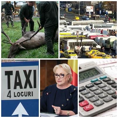 Business report, Foto: Colaj foto