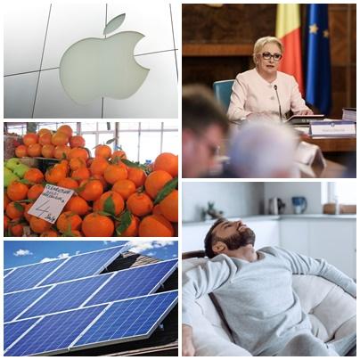 Business report, Foto: Colaj foto