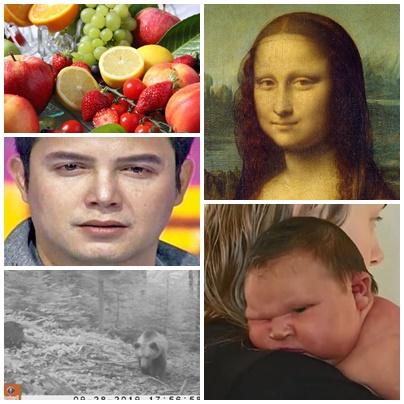 Faze tari, Foto: Colaj foto