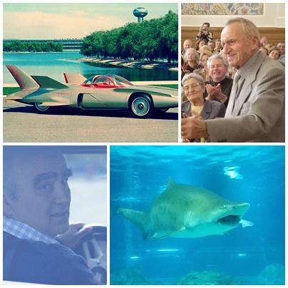 O lume nebuna, Foto: Colaj foto