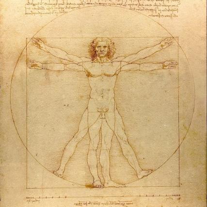 Omul Vitruvian, Foto: Public Domain Pictures