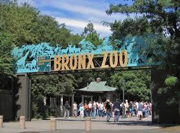 Grădina zoologică din Bronx, Foto: Colaj foto