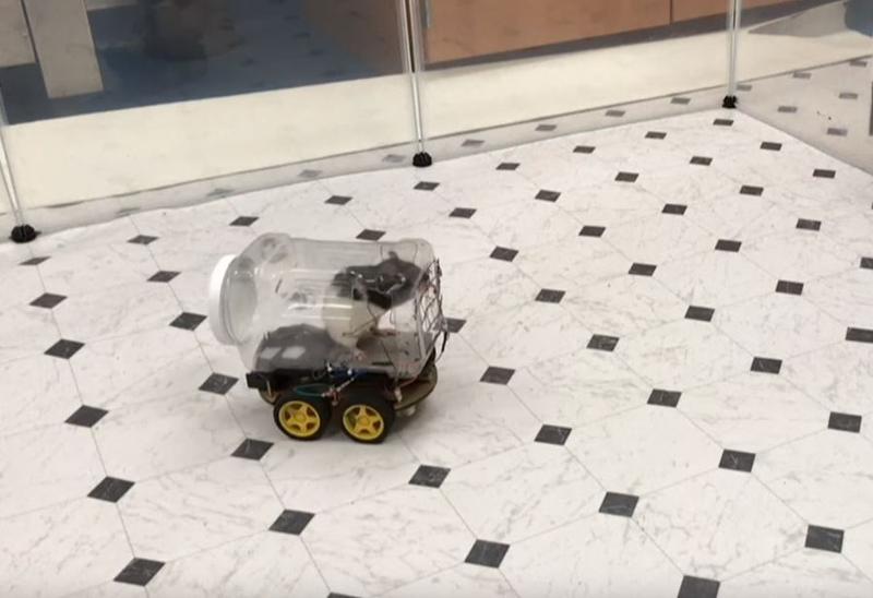 Sobolani soferi, Foto: Captura YouTube