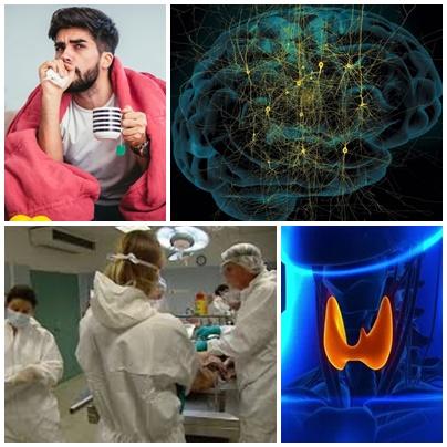 Utile, Foto: Colaj foto