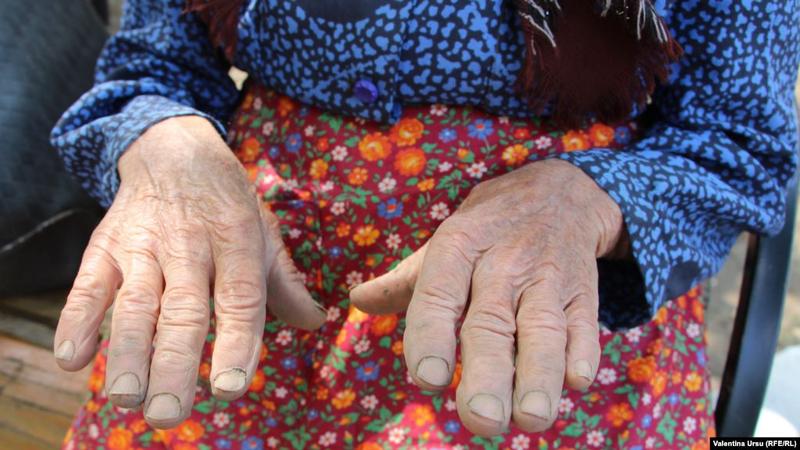 Pensia minima, Foto: Europa Libera