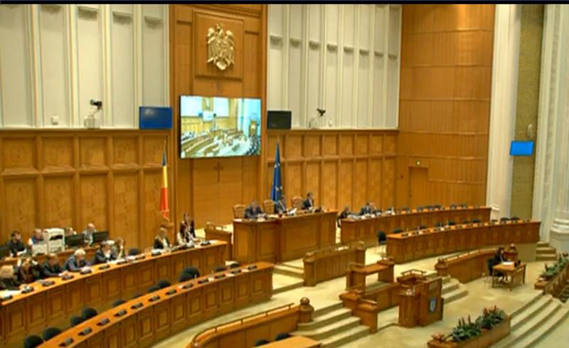 Camera Deputatilor, Foto: Captura video