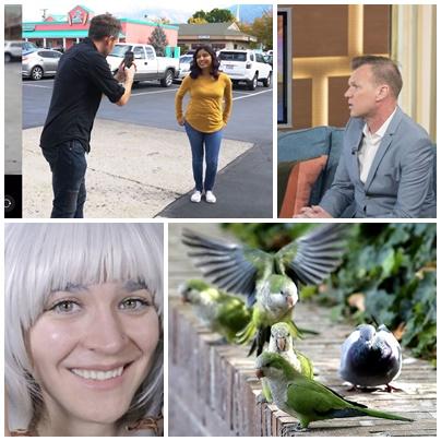 Faze tari, Foto: Colaj foto