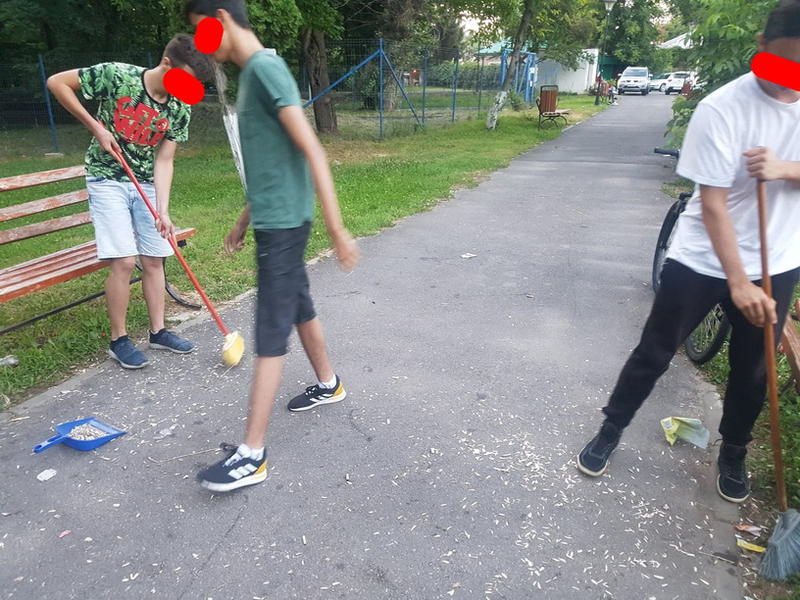 Curatenie in parc, Foto: Cronica de Gaesti
