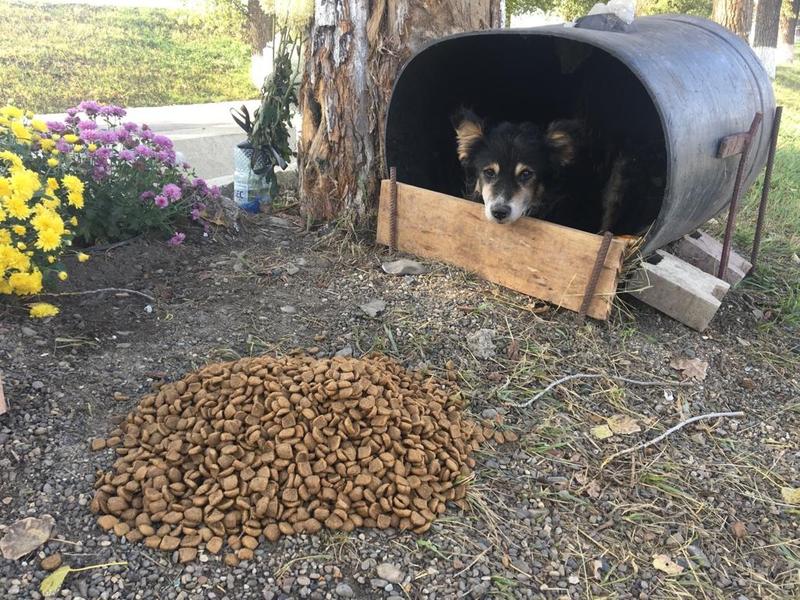 Caine, Foto: Mediafax