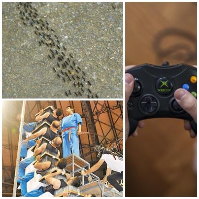 Faze tari, Foto: Colaj foto