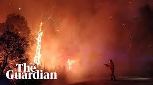 Incendii Australia, Foto: YouTube