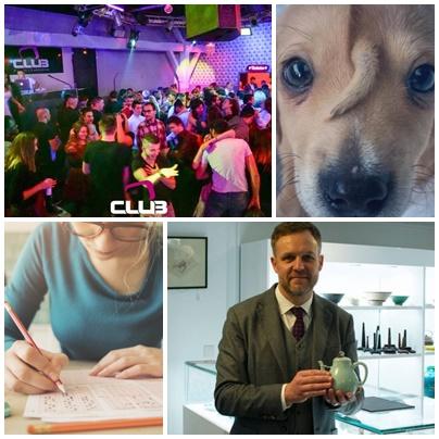 Faze tari, Foto: Colaj foto