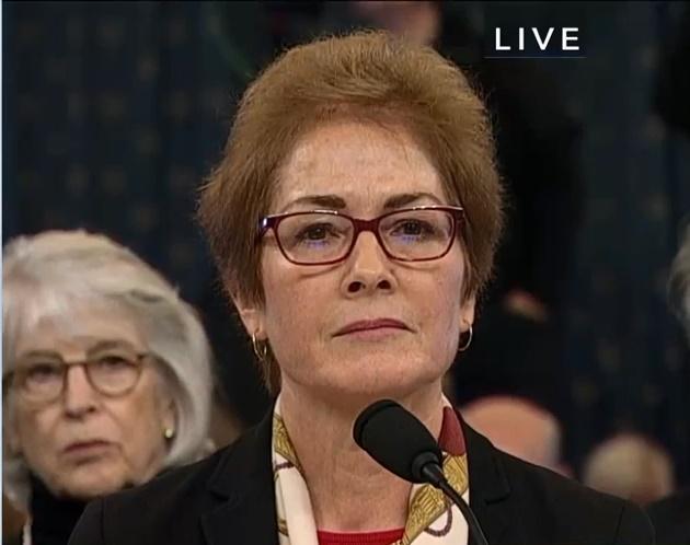 Marie Yovanovitch, Foto: Captura YouTube