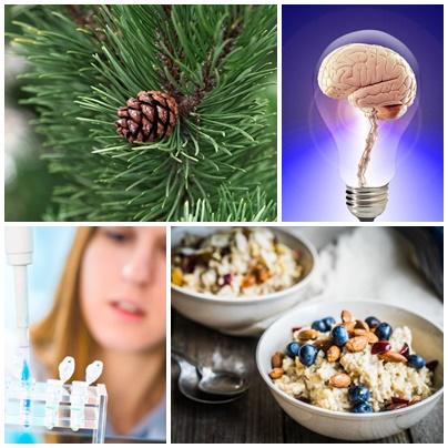 Utile, Foto: Colaj foto