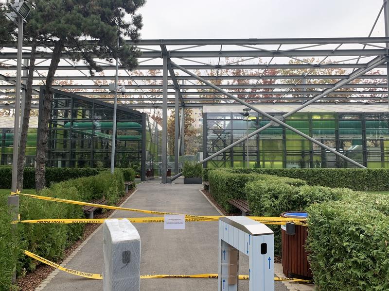 Sere exotice Drumul Taberei, Foto: Hotnews