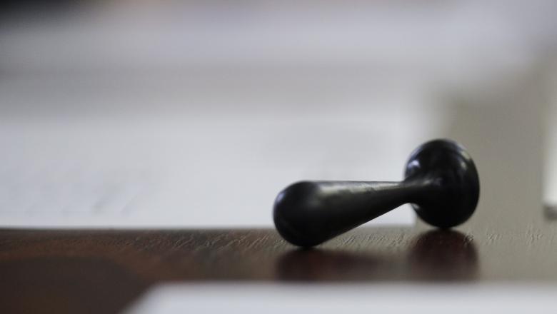 vot, Foto: INQUAM Photos / Octav Ganea