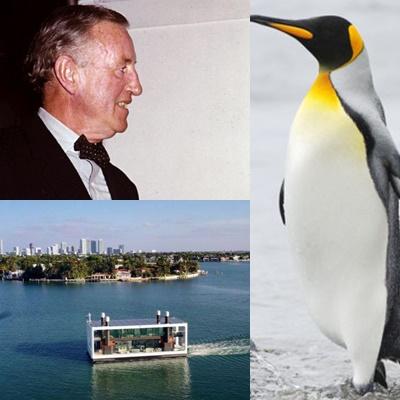 Faze tari, Foto: Colaj foto