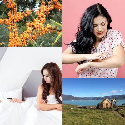 Utile, Foto: Colaj foto