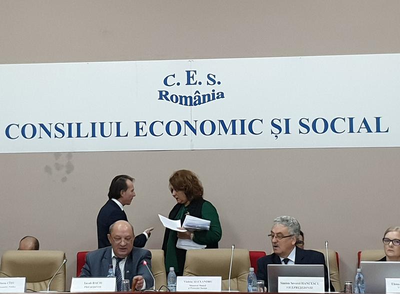 Florin Citu si Daniela Pescaru, Foto: Hotnews