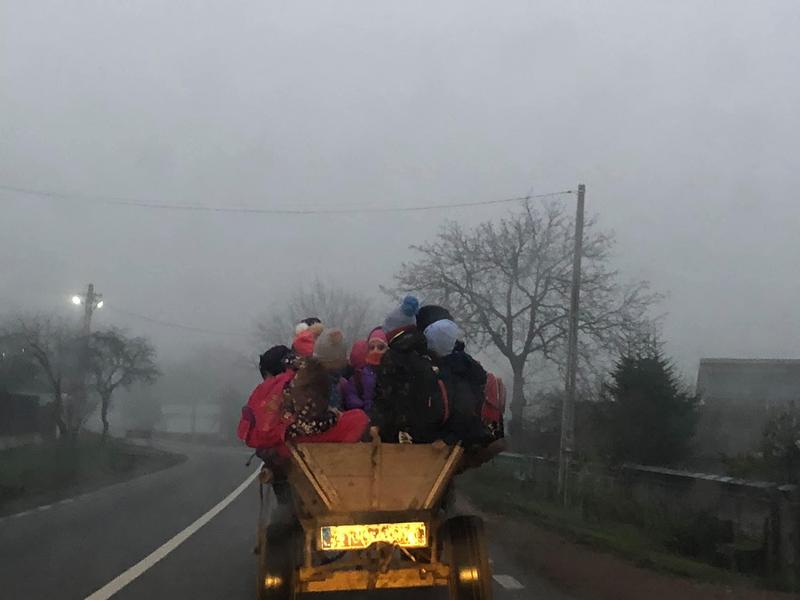 copii transportati cu caruta la scoala, Foto: Florina Fabian Facebook
