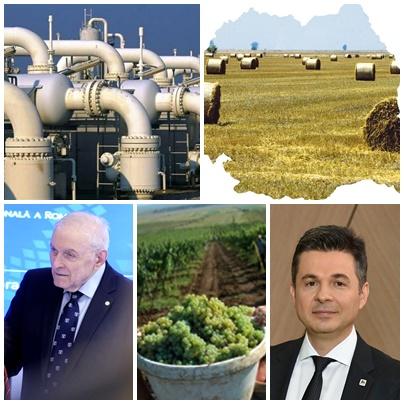 Business report, Foto: Colaj foto