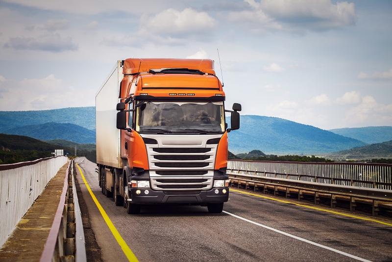 OnlineTrans, Foto: Hotnews