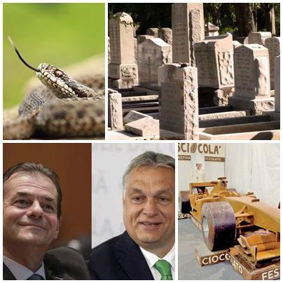 Diverse, Foto: Colaj foto