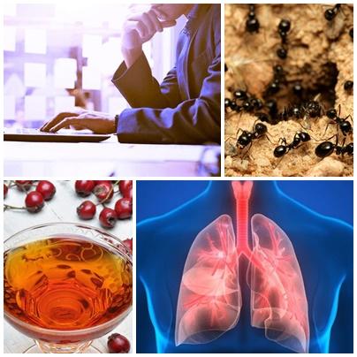 Utile, Foto: Colaj foto