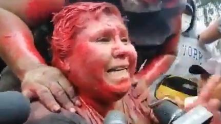 primarita Bolivia, Foto: Captura