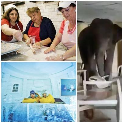 Faze tari, Foto: Colaj foto