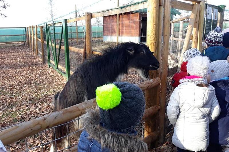 Hope Farm, Foto: Facebook/ Libearty - Bear Sanctuary