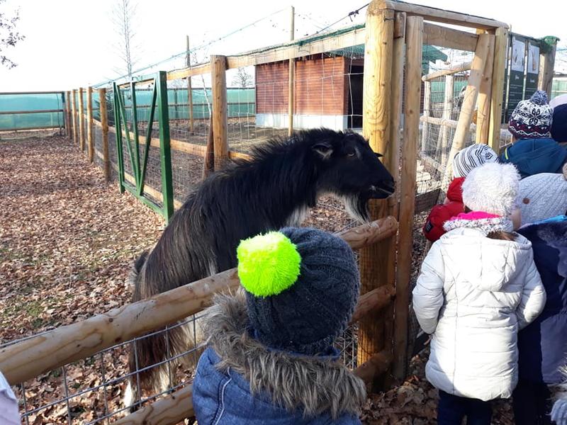 Hope Farm, Foto: Facebook/ Libearty - Bear Sanctuary