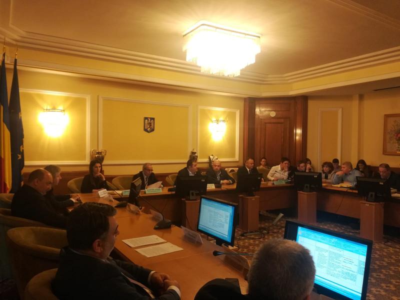 Comisia de munca, Foto: Hotnews