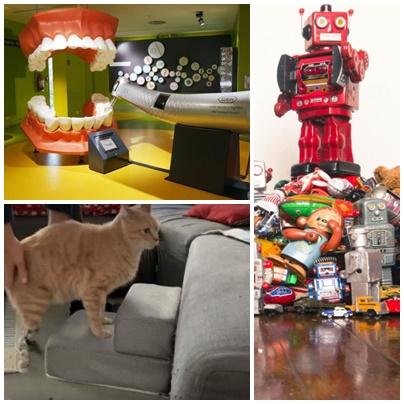 Faze tari, Foto: Colaj foto