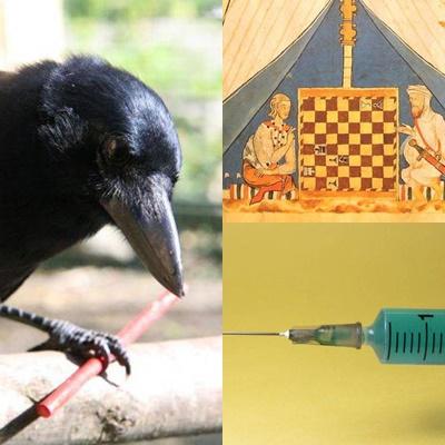 Faze tari, Foto: Colaj foto