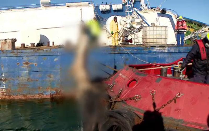 Midia (stirile protv), Foto: Hotnews