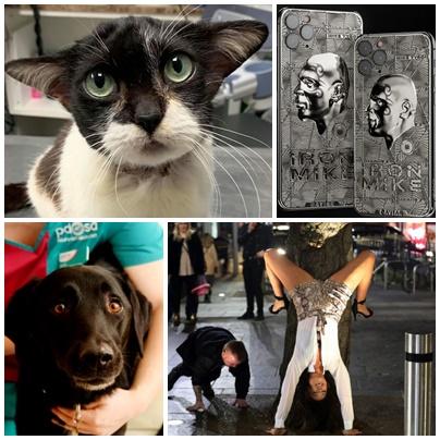 Faze tari, Foto: Colaj foto