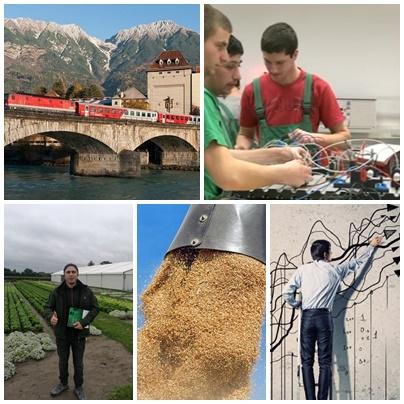 Business report, Foto: Colaj foto