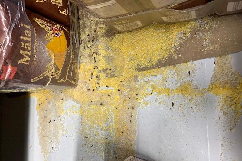 soareci la magazin, Foto: ANPC