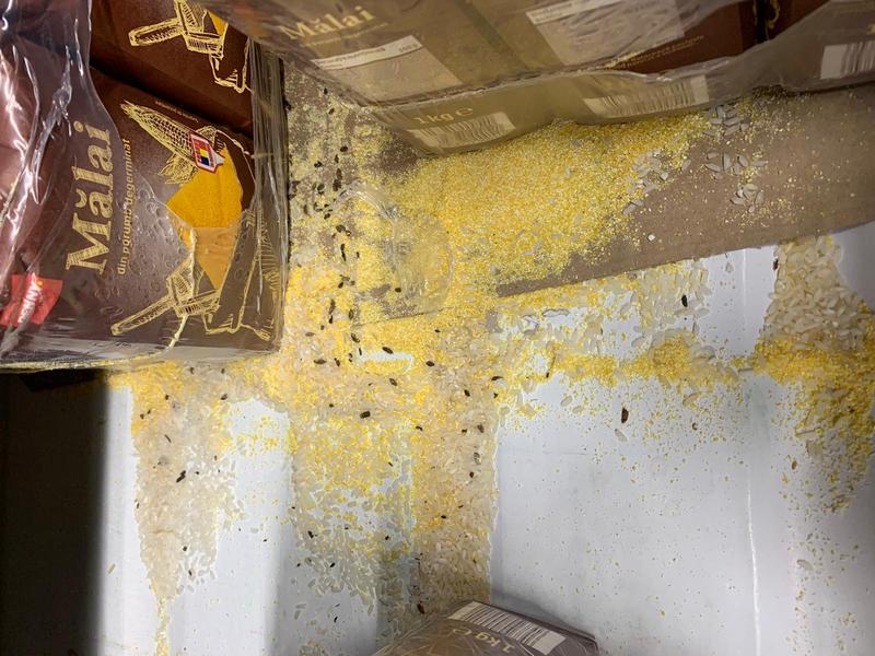 soareci la magazin, Foto: ANPC