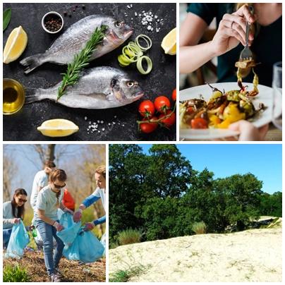 Utile, Foto: Colaj foto