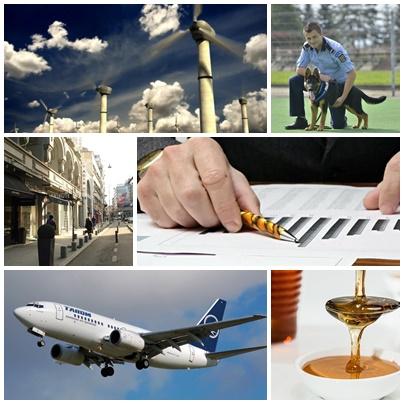 Business, Foto: Colaj foto