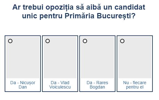 Sondaj alegeri Bucuresti, Foto: Hotnews