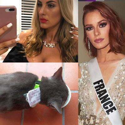 Faze tari, Foto: Colaj foto