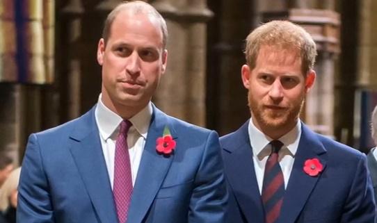 Printii William si Harry, Foto: Captura YouTube