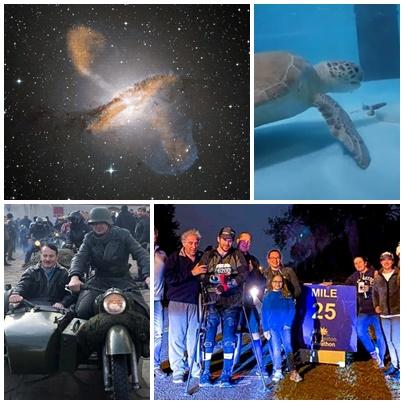 Faze tari, Foto: Colaj foto