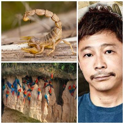 Faze tari, Foto: Colaj foto