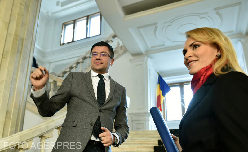 Costel Alexe si Gabriela Firea, Foto: Agerpres