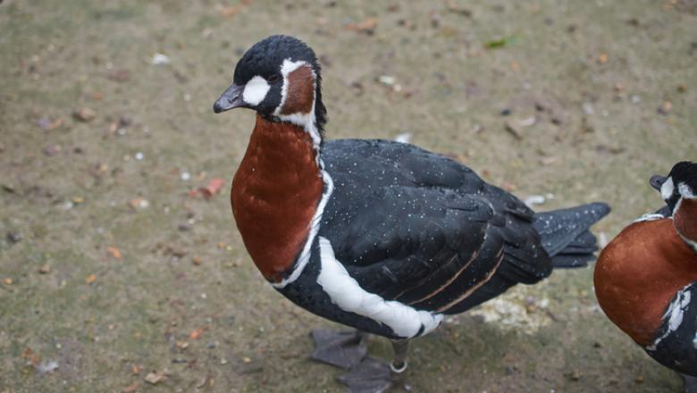 digi24, Foto: Hotnews