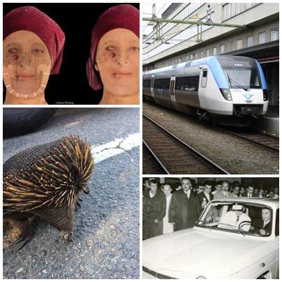 Faze tari, Foto: Colaj foto